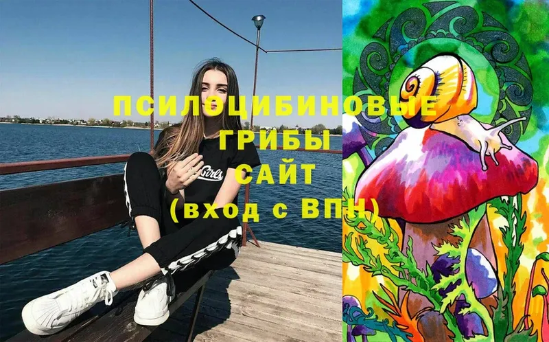 сколько стоит  Кандалакша  Галлюциногенные грибы Magic Shrooms 